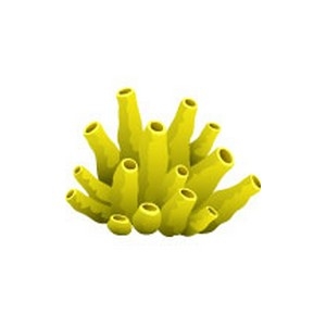 Tubular Sponge